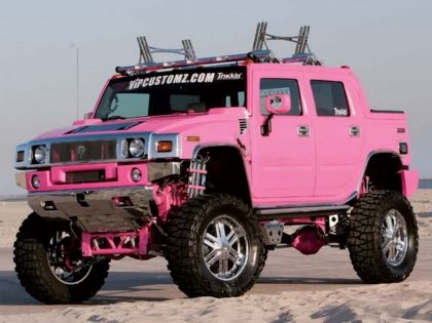 pink_hummer_h202.jpg