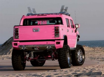 pink_hummer_h203.jpg