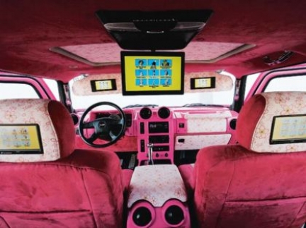 pink_hummer_h204.jpg