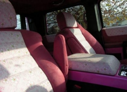 pink_hummer_h205.jpg